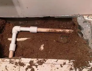 德江测漏水哪家好