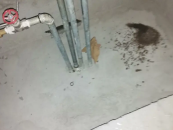 德江卫生间测漏水价格明细