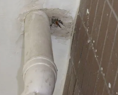 德江漏水检测哪家好